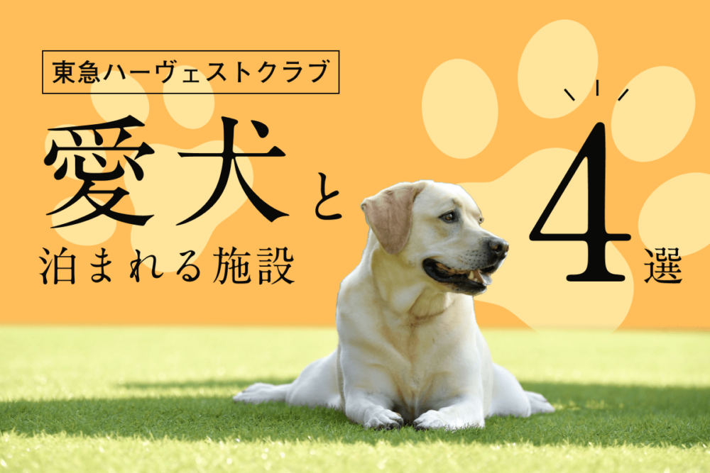 東急ハーヴェストクラブの犬と泊まれる施設4選。ペットと泊まる注意点も