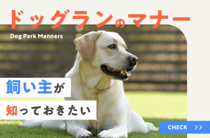 飼い主が知っておきたいドッグランのマナー｜愛犬とトラブルなく過ごすポイントを解説