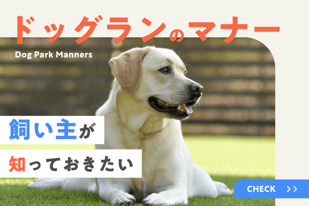 飼い主が知っておきたいドッグランのマナー｜愛犬とトラブルなく過ごすポイントを解説