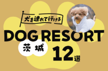 茨城で犬を連れて行ける場所12選！関東最大級のドッグリゾートも紹介