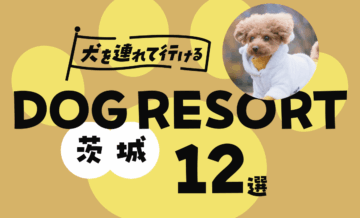 茨城で犬を連れて行ける場所12選！関東最大級のドッグリゾートも紹介