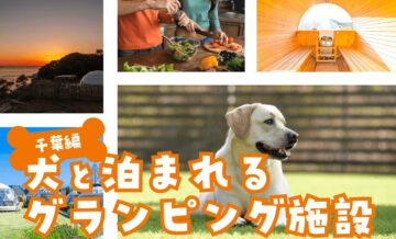 千葉で犬と泊まれるグランピング施設を紹介！ペットとプライベート重視の滞在ならGrande