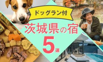 茨城で犬と泊まれるドッグラン付き宿5選｜愛犬家向け会員制リゾートという選択肢も紹介