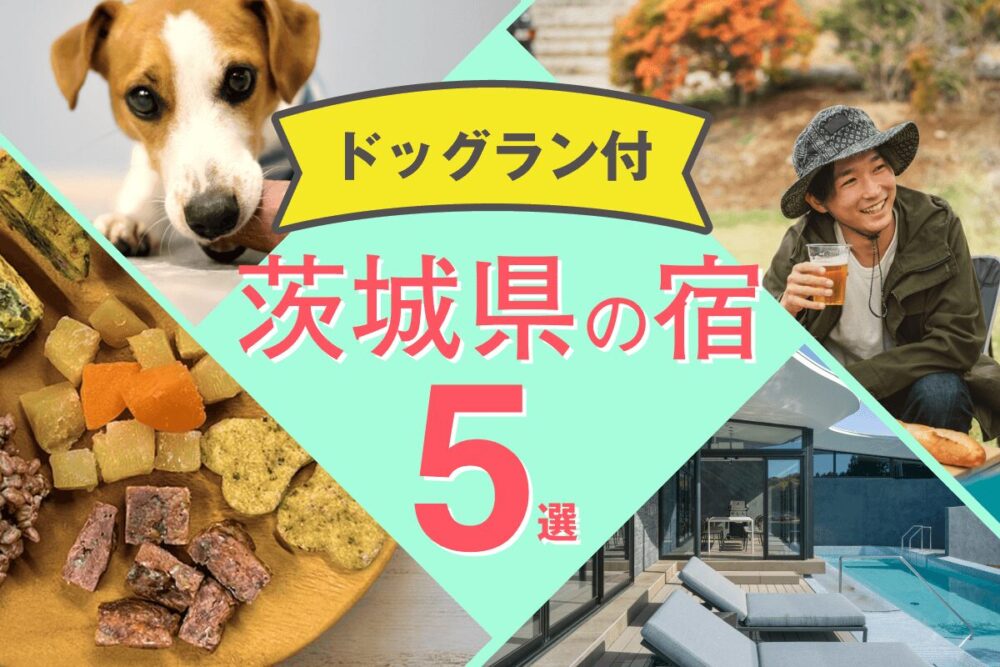 茨城で犬と泊まれるドッグラン付き宿5選｜愛犬家向け会員制リゾートという選択肢も紹介