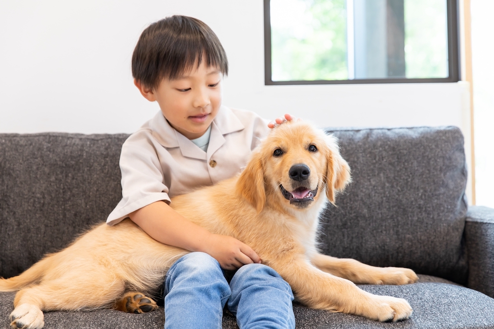 ソファでくつろぐ子どもとゴールデン・レトリバー