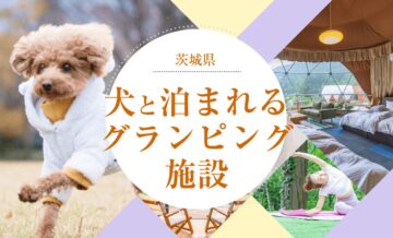 茨城県で犬と泊まれるグランピング施設を厳選！プライベート空間で愛犬と特別な時間を