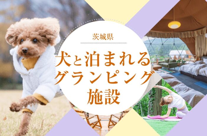 茨城県で犬と泊まれるグランピング施設を厳選！プライベート空間で愛犬と特別な時間を