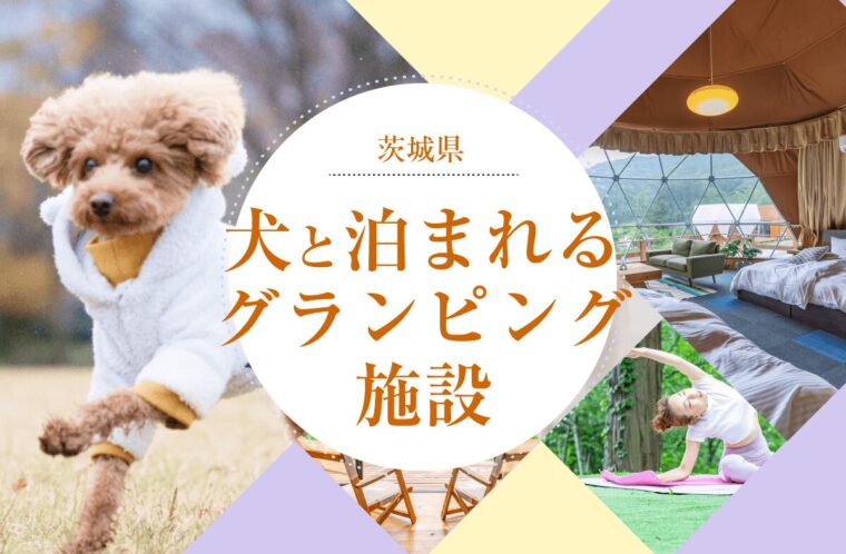 茨城県で犬と泊まれるグランピング施設を厳選！プライベート空間で愛犬と特別な時間を