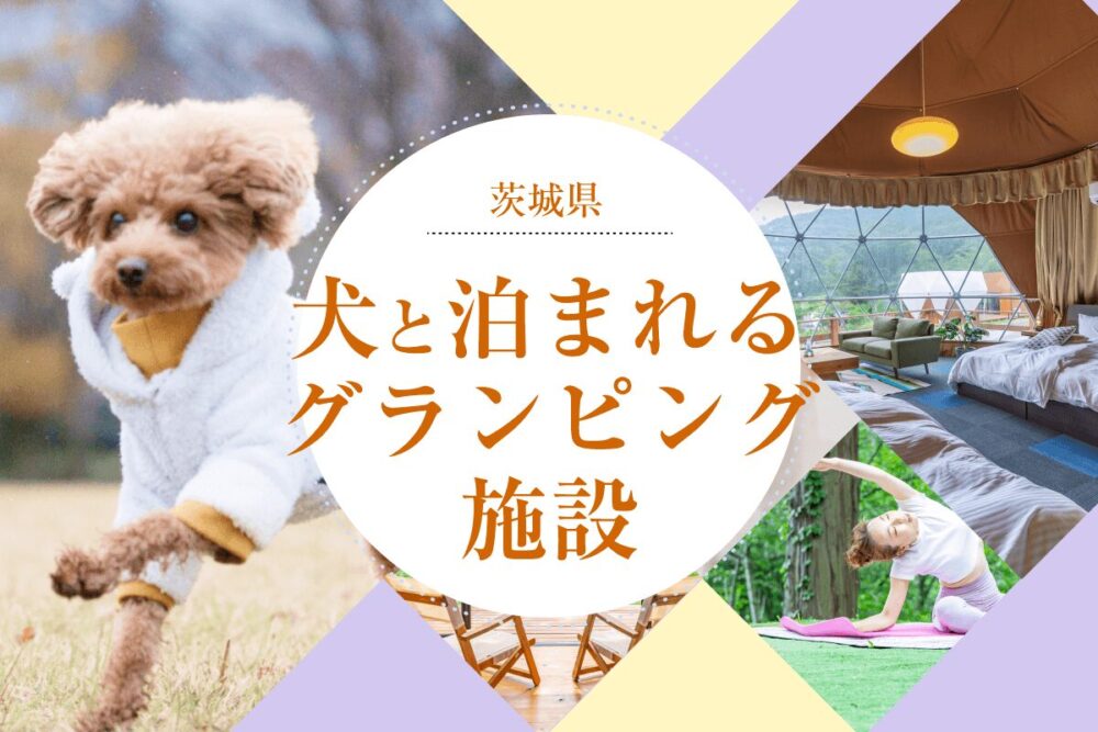 茨城県で犬と泊まれるグランピング施設を厳選！プライベート空間で愛犬と特別な時間を