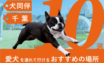 千葉県で愛犬を連れて行けるおすすめの場所10選！愛犬と一緒に宿泊可能なGrande（グランデ）も紹介