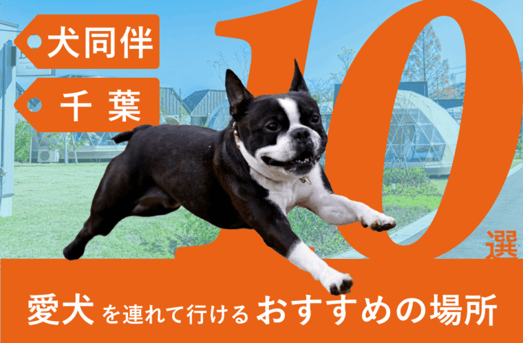 千葉県で愛犬を連れて行けるおすすめの場所10選！愛犬と一緒に宿泊可能なGrande（グランデ）も紹介