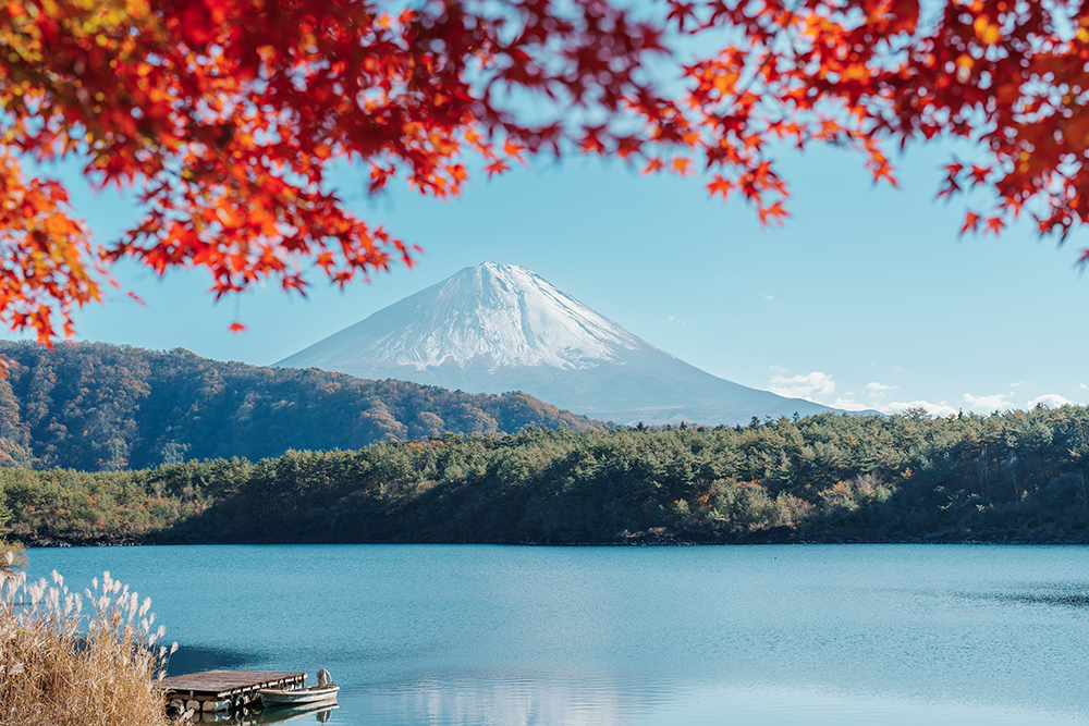 西湖からの富士山の風景