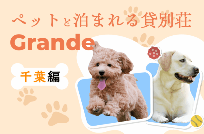 千葉県でペットと泊まれる貸別荘ならGrande（グランデ）！ドッグランやプール付きおすすめ別荘を紹介