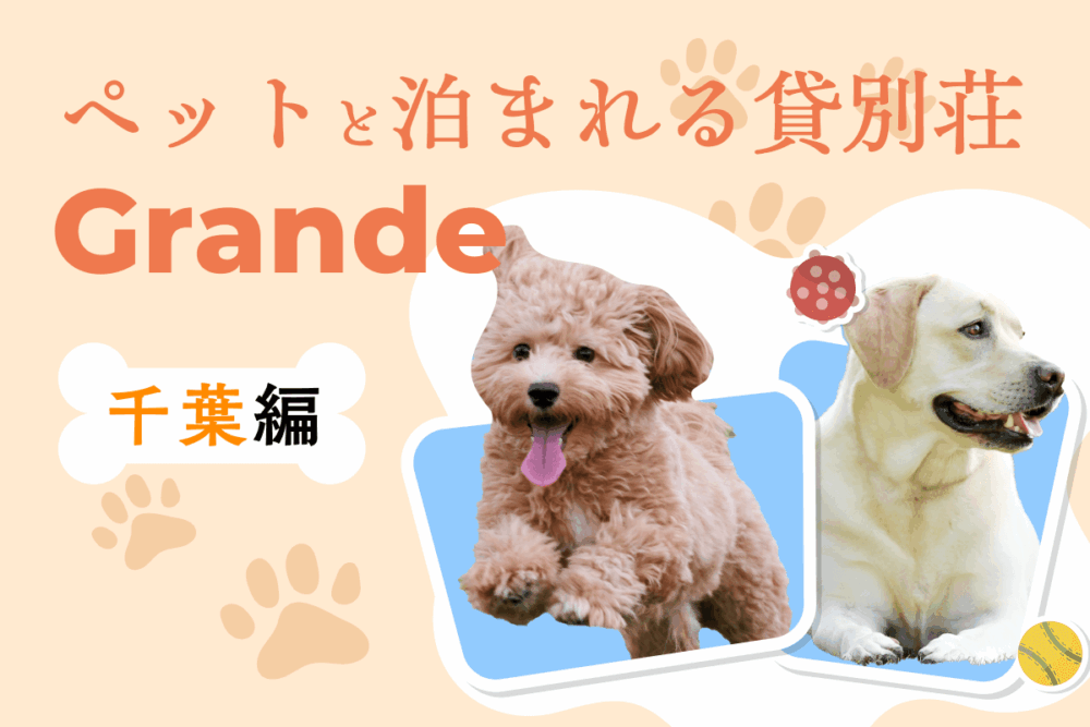 千葉県でペットと泊まれる貸別荘ならGrande（グランデ）！ドッグランやプール付きおすすめ別荘を紹介