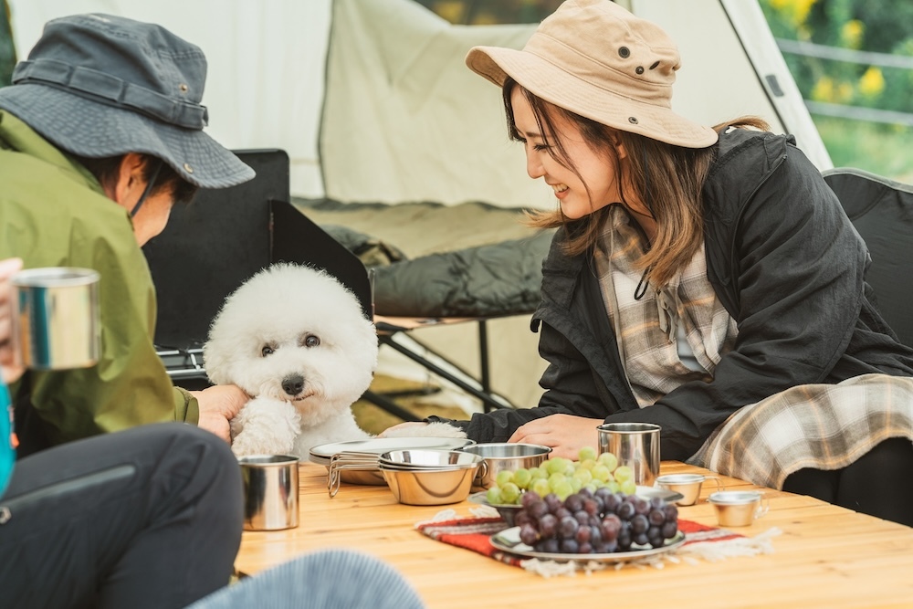 犬とのバーベキュー