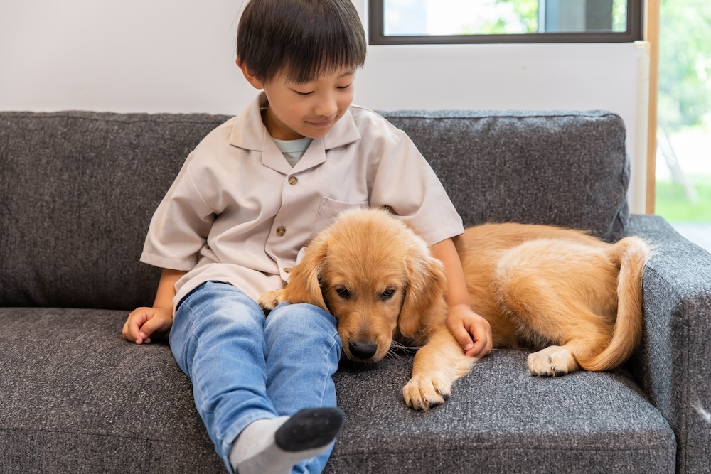 犬と子ども