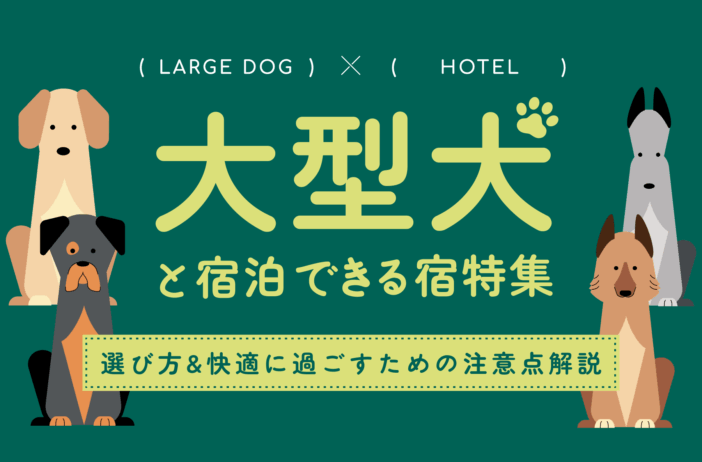 【全国】大型犬と宿泊できる宿特集！選び方や快適に過ごすための注意点を解説