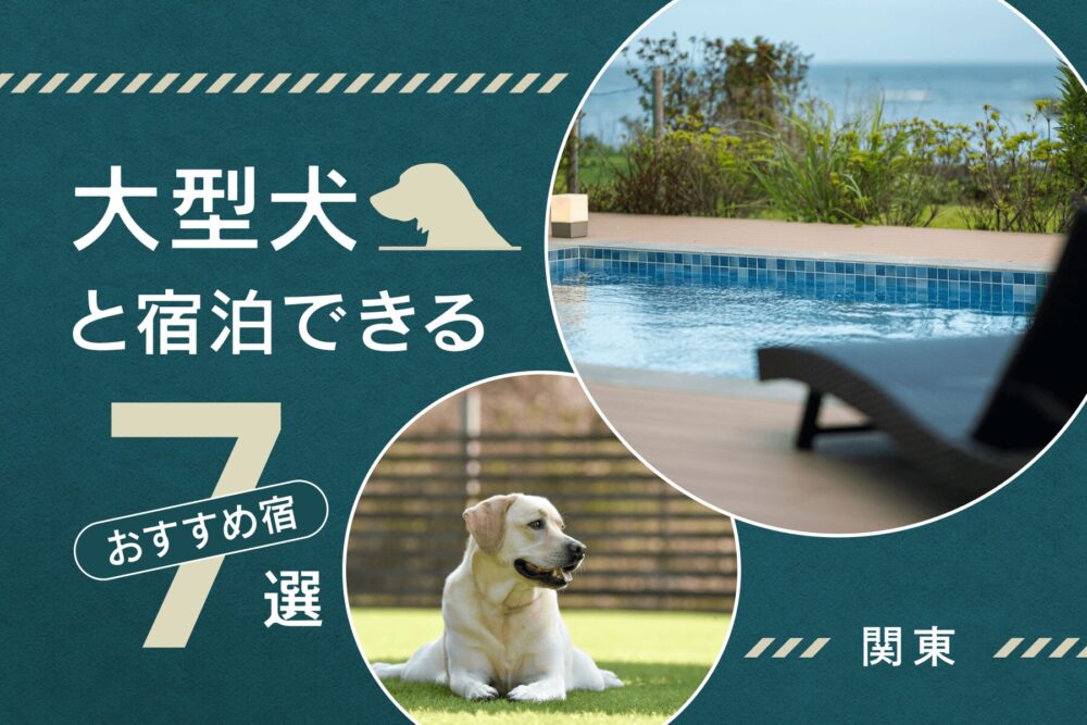 【関東】大型犬と宿泊できるおすすめ宿7選！ドッグラン・温泉・プールも