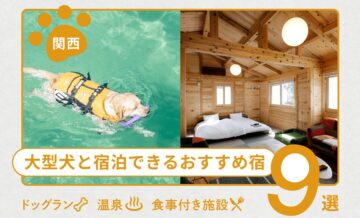 【関西】大型犬と宿泊できるおすすめ宿9選！ドッグラン・温泉・食事付き施設も