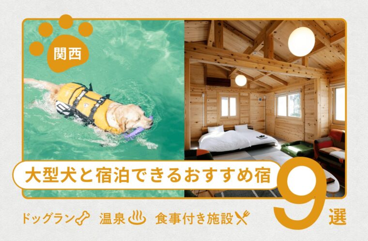 【関西】大型犬と宿泊できるおすすめ宿9選！ドッグラン・温泉・食事付き施設も