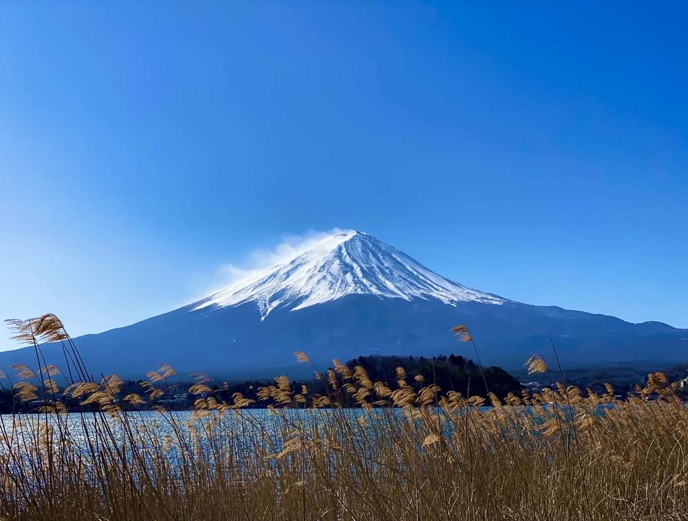 富士山